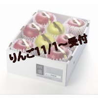 吟壌りんご・限定プレミアム「ふじ・はるか」詰合せ　8〜10玉（3kg）