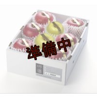 吟壌りんご・限定プレミアム「ふじ・はるか」詰合せ　8〜10玉（3kg）