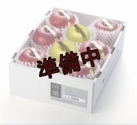 吟壌りんご・限定プレミアム「ふじ・はるか」詰合せ　8〜10玉（3kg）