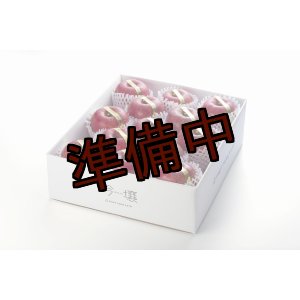 画像: 吟壌りんご「ふじ」限定プレミアム　12〜15玉（5kg） 