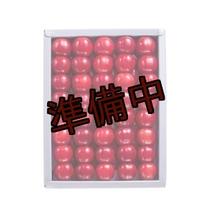 画像: 吟壌さくらんぼ「佐藤錦」LL玉　500ｇ　化粧箱