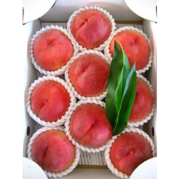 画像1: 吟壌桃「川中島白桃」LL-9〜10玉（3kg） (1)