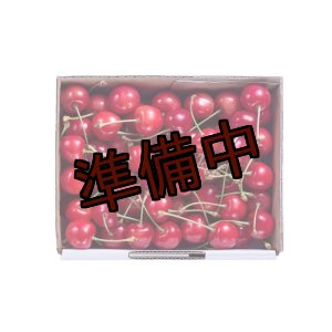 画像: 吟壌さくらんぼ「佐藤錦」M〜LL玉　500gバラ詰め