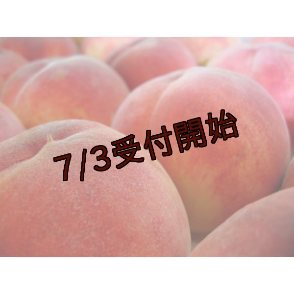 画像1: 吟壌桃「あかつき」3L-12〜14玉（5kg） (1)