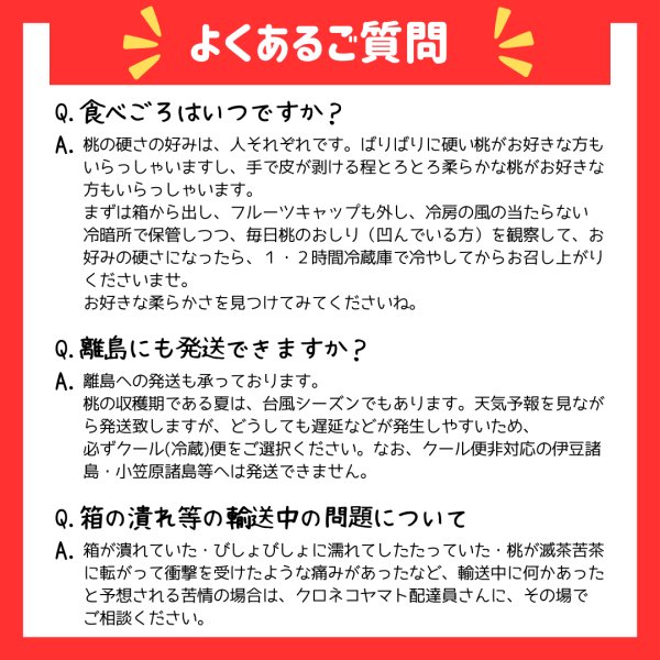 画像4: 吟壌桃「川中島白桃」6玉（2kg） (4)