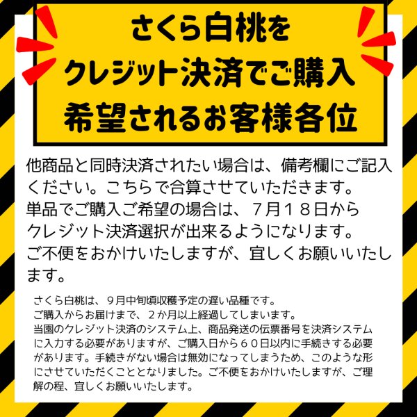 画像2: 吟壌桃「さくら」3L-6〜8玉　(3kg) (2)